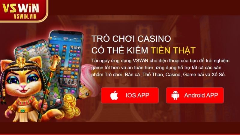 Giới thiệu tổng quan về chúng tôi – VSWIN và sứ mệnh phát triển